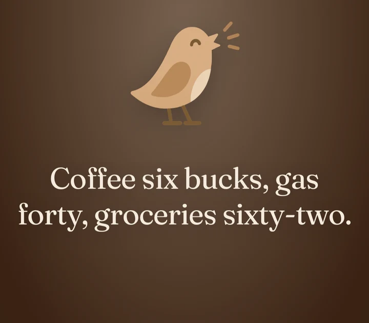Chirp voice entry showing the bird and a live transcript of coffee, gas, and groceries